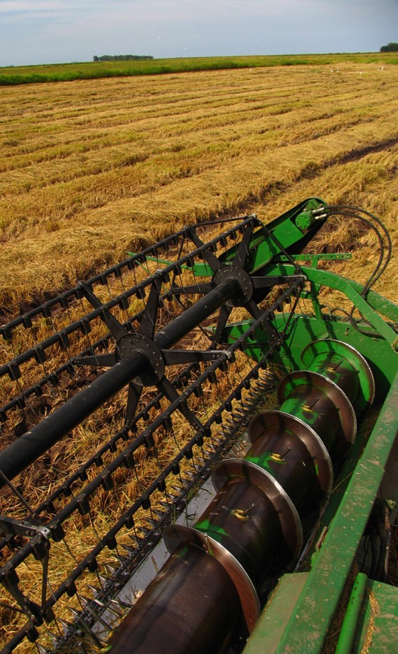 Quebra da safra gaúcha faz preço do arroz subir 