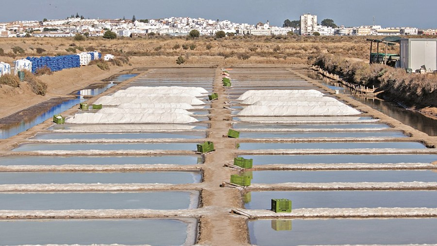 Algarve produz 95% do sal marinho do país