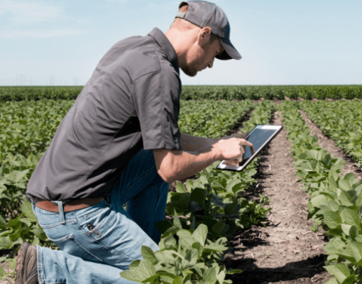 I Encontro de Negócios para a Agricultura Digital