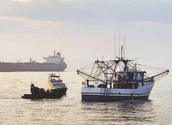 Marinha intensifica operações na costa