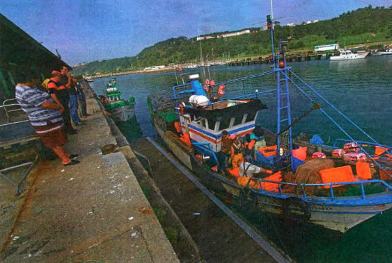 Pesca rendeu 43,6 milhões de euros nas lotas do Distrito de Leiria