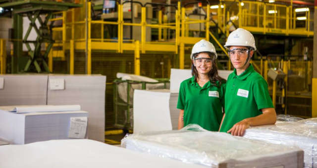 Preços da celulose seguem em queda