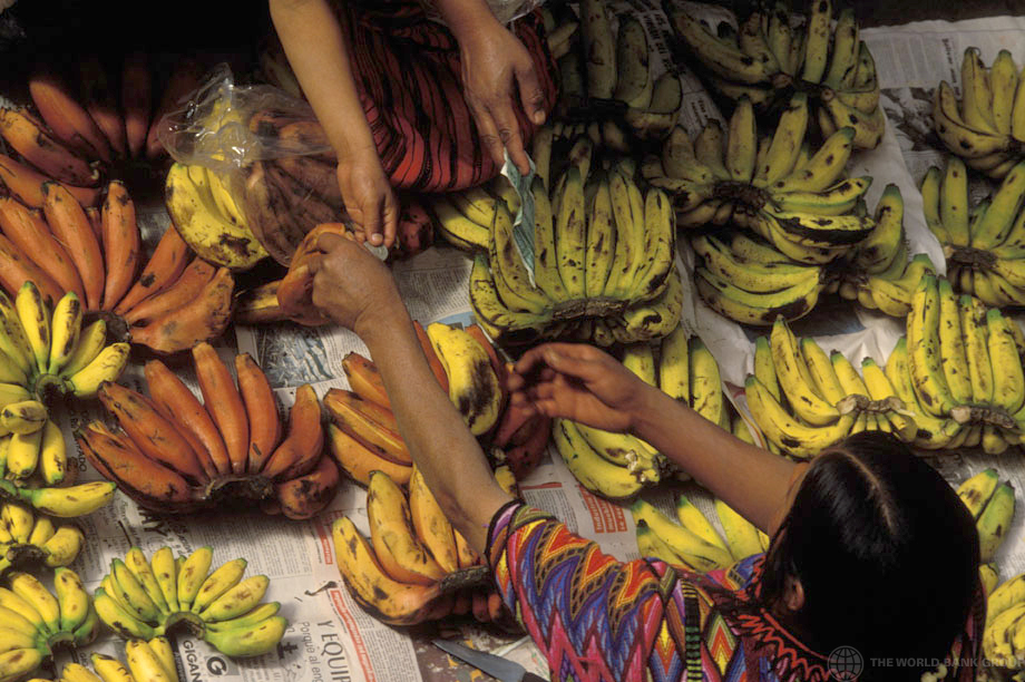 FAO: América Latina e Caribe vão responder por mais de 25% das exportações agrícolas globais até 2028