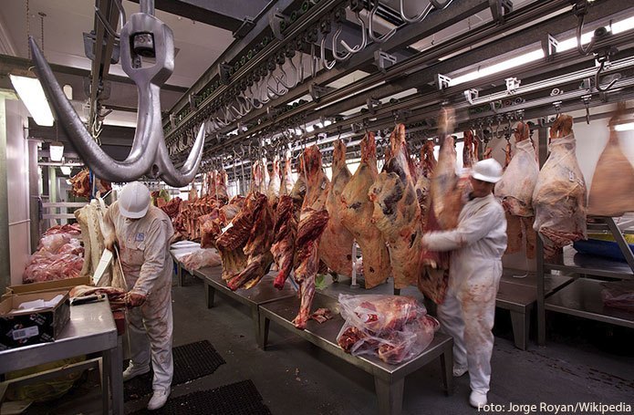Países do Oriente Médio ampliam em 26% importações de produtos agrícolas brasileiros