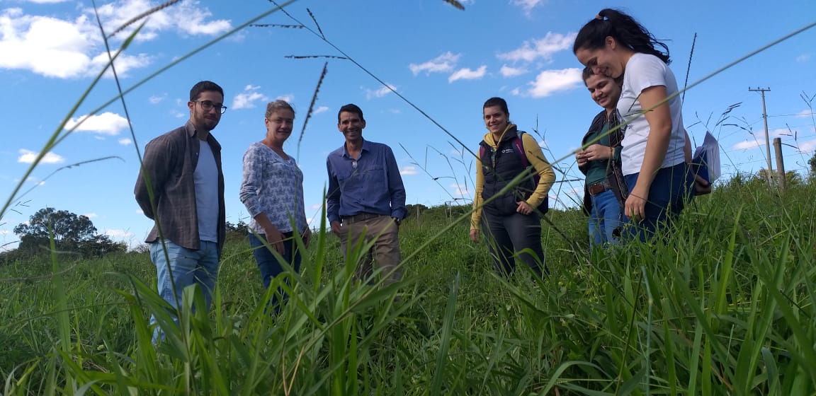 Agricultura cria sistemas de produção com menor impacto ambiental