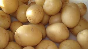 Menor área plantada faz preço da batata disparar no atacado