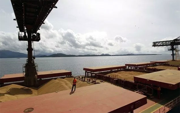Exportação de grãos irá crescer 40% na próxima década, aponta estudo do ministério