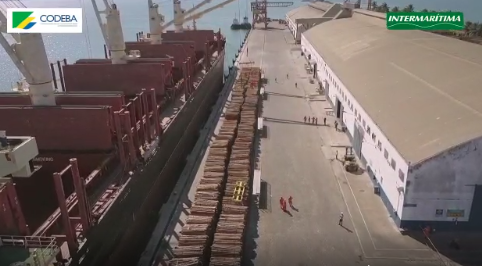 Porto de Ilhéus volta a exportar madeira