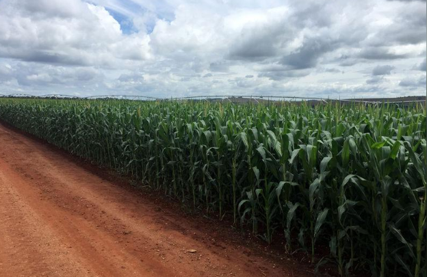 Única espera fim de cota sem tarifa para importação de etanol