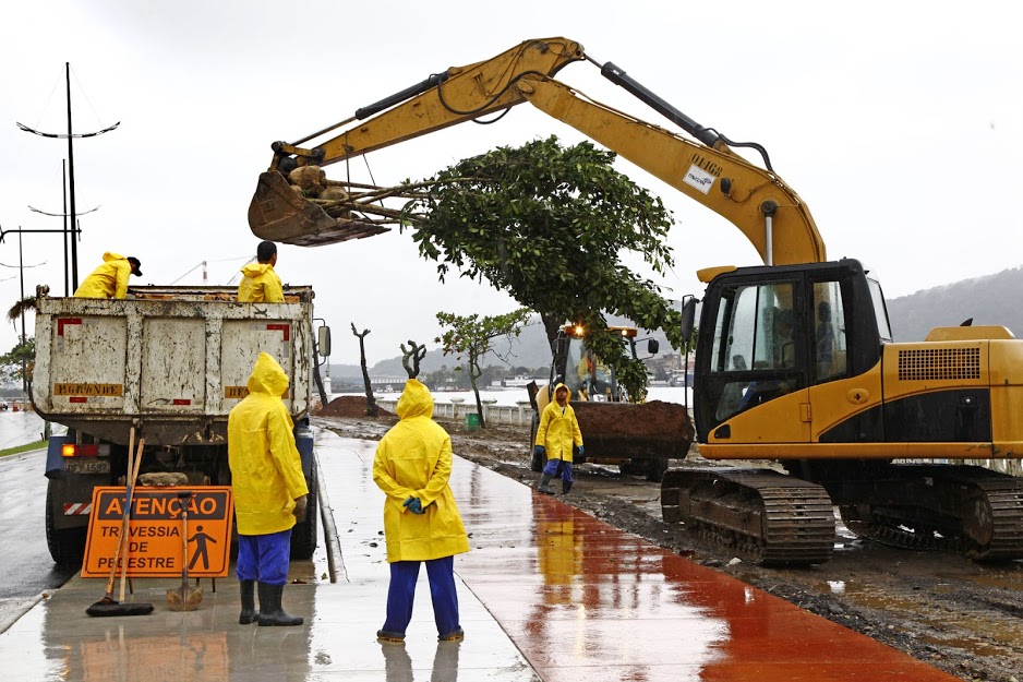 Orla da Ponta da Praia ganhará 210 novas árvores