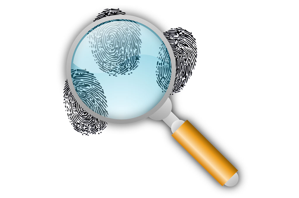 Docas afasta funcionários investigados