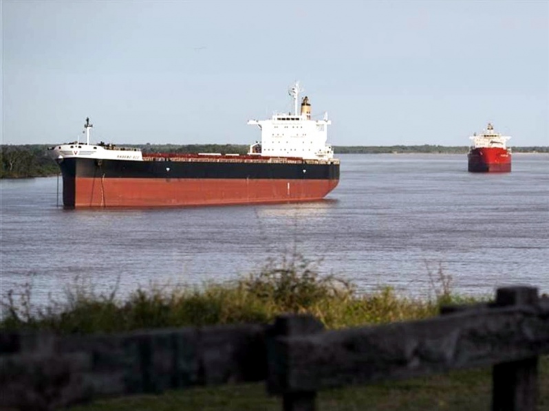 Argentina: Transporte fluvial de cabotagem de grãos cresceu 178% no primeiro semestre de 2019