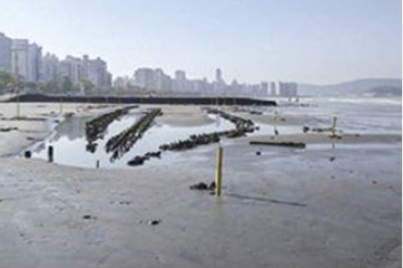 Destroços de navio centenário no Canal 5 ganham proteção