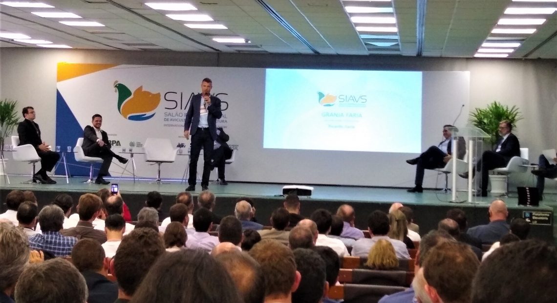 No embalo do frango, setor de ovos quer ampliar exportações
