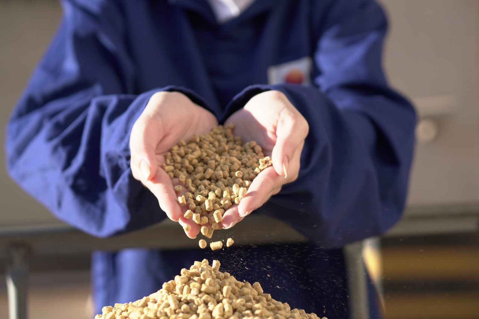 Entenda como o agronegócio impulsiona a economia brasileira
