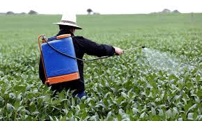 São poucos os agrotóxicos registrados no Brasil e banidos na UE 