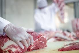 Exportações brasileiras de carne suína deverão crescer em 20% em 2019