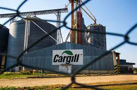 Cargill investe US$ 75 milhões em empresa de proteína de ervilhas 