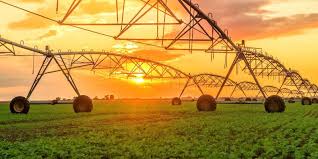 Maior trading chinesa projeta crescimento anual de 5% nos próximos 5 anos das suas importações do agro brasileiro