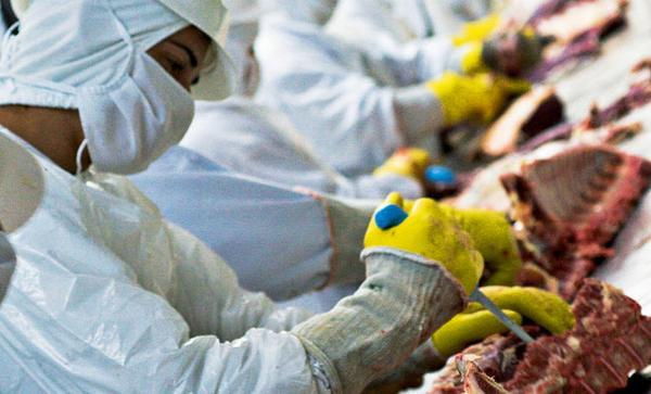 Egito e Emirados compraram mais carne bovina do Brasil