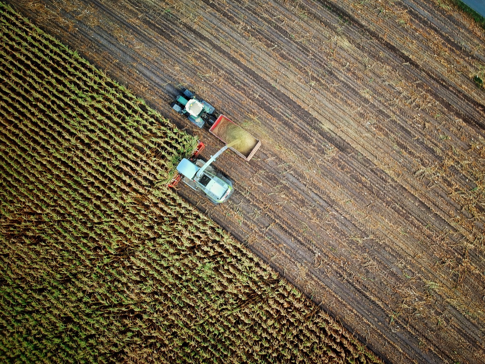Acordo abre espaço para agronegócio brasileiro na Suíça e na Noruega