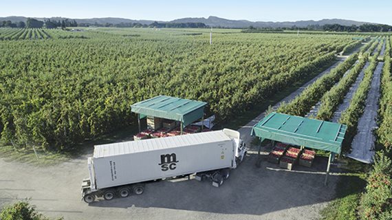 MSC participa da World Food Moscow, em 26 de setembro de 2019