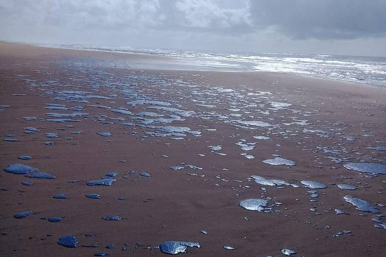 Óleo que atinge praias do Nordeste é petróleo e não é brasileiro, diz Ibama