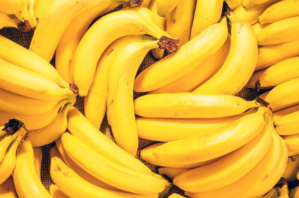 Porto do Mucuripe inicia embarque de frutas da safra 2019-2020