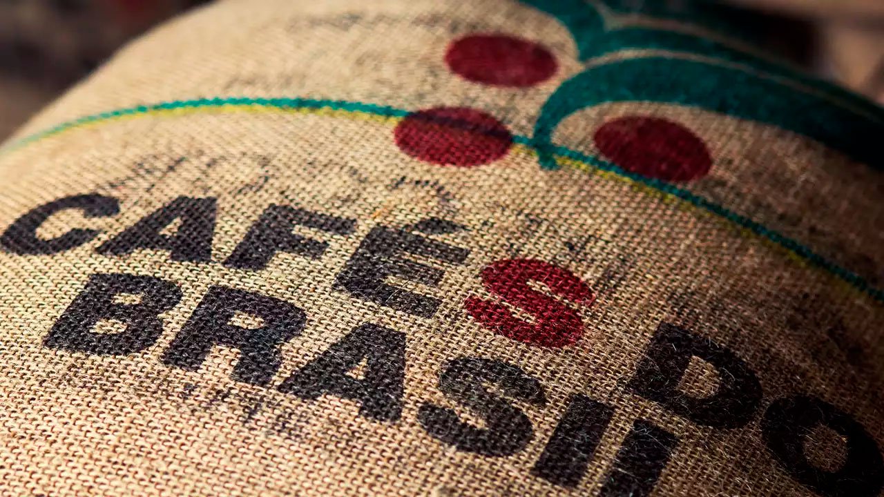 Exportações de café do Brasil atingem 3,2 milhões de sacas em agosto