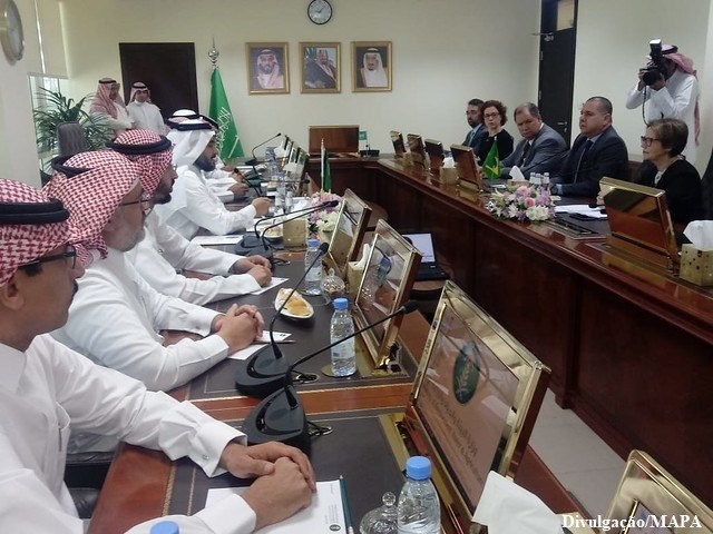 Visita ministerial: Arábia Saudita manifesta interesse em importar forragem para ração do Brasil