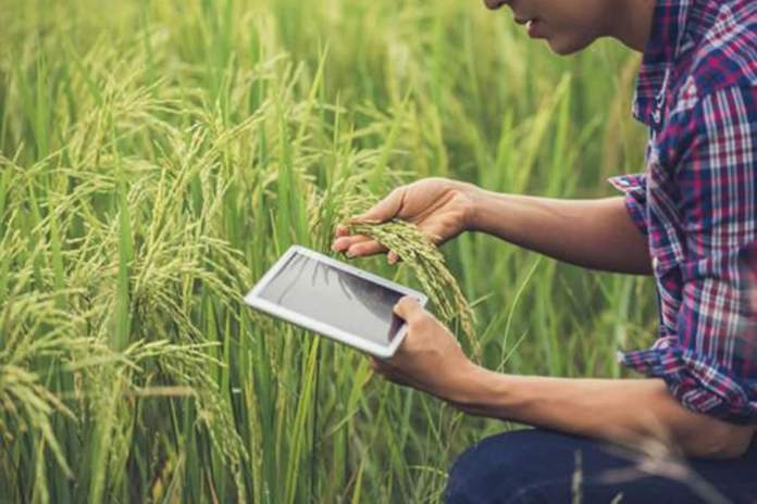 Inovações tecnológicas: startups ajudam o Brasil a se tornar uma potência no agronegócio