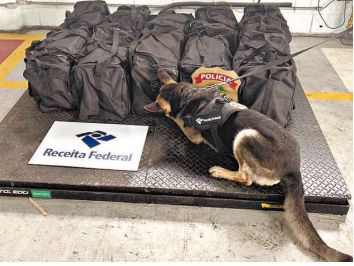 Alfândega apreende 341 kg de cocaína no Porto