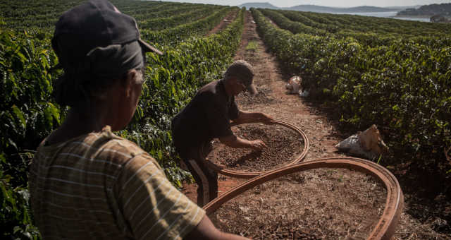 Exportação de café solúvel do Brasil em 2019 tem maior nível em 5 anos, diz Abics