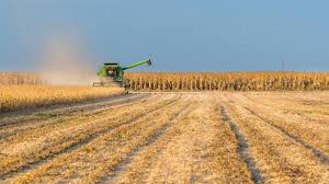 Com guerra comercial e Argentina, safra agrícola alcança valor recorde de R$ 343,5 bilhões