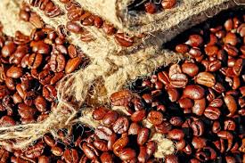 Mudanças climáticas afetam produção de café