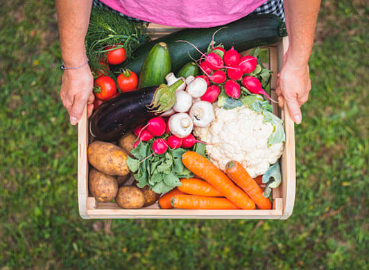 Fundação Cargill divulga equipes selecionadas para o Prêmio Alimentação em Foco 2020