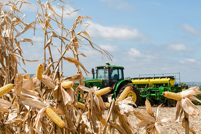 Valor da produção agrícola bateu recorde
