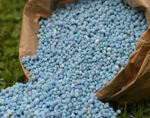 Fertilizantes: Excesso de oferta global gera oportunidade de compra