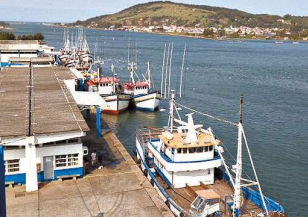 Mercado Regional