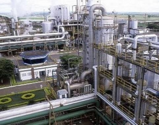 Desigualdade do setor sucroenergético deve se acentuar em 2020