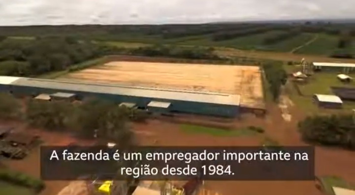 Como o café se tornou o combustível do mundo