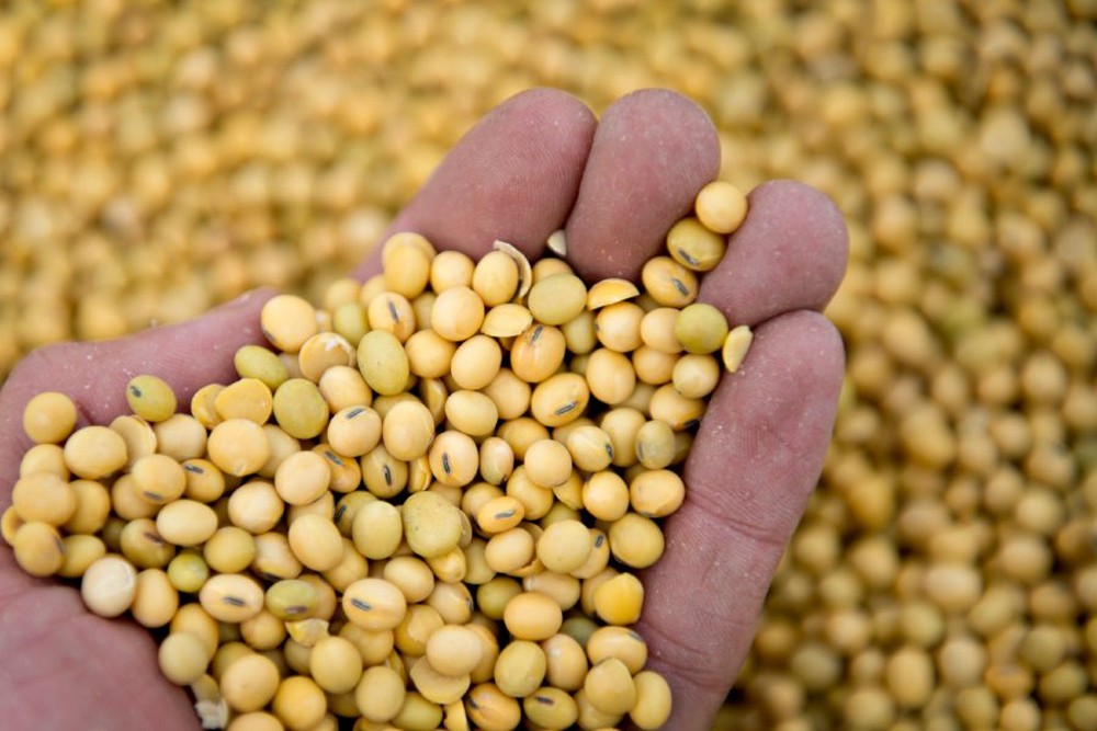 China quer remoção de tarifas para comprar US$ 50 bi em produtos agrícolas