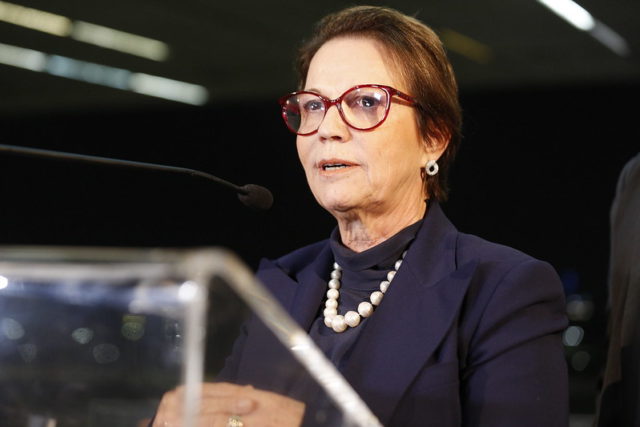 Agronegócio brasileiro foi muito tímido ainda, diz Tereza Cristina