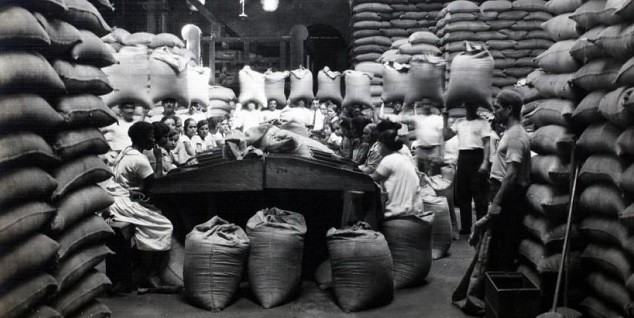 Pianistas de café: as trabalhadoras invisíveis da bebida que move o mundo