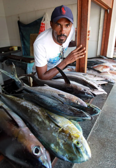 É preciso evitar frutos do mar por causa do óleo? Entenda