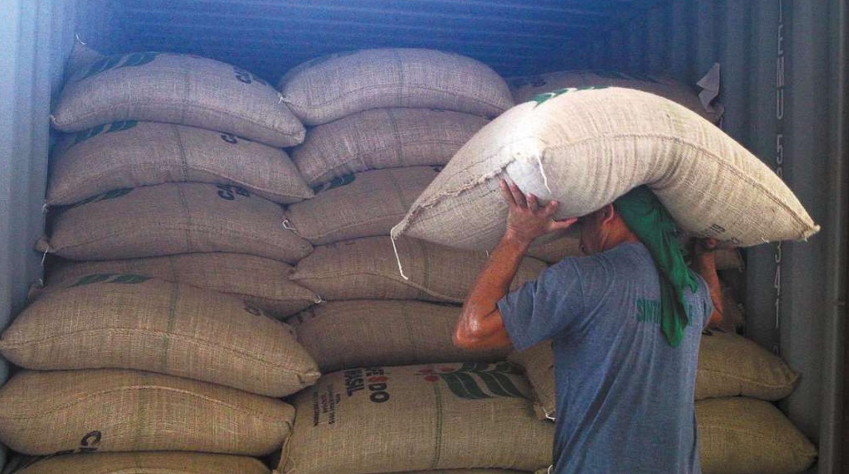 Exportações de café crescem 20,8%
