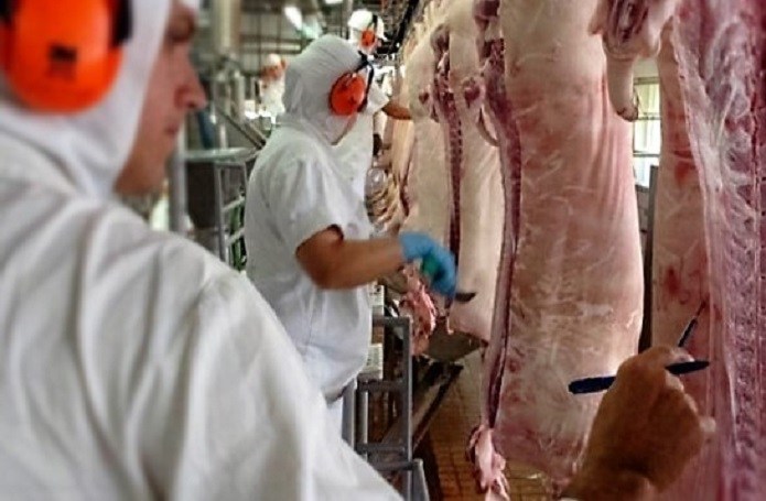 Receita de exportações de carne suína cresce 31,6% em setembro com alta das importações chinesas