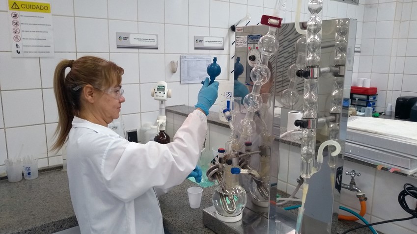 No Brasil, a equipe de açúcar da COFCO permite que a natureza faça mais trabalho