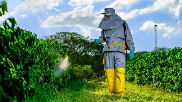 Programa da Basf conscientiza sobre a importância do uso de EPIs no campo