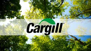 Cargill lança painel consultivo independente sobre proteção florestal
